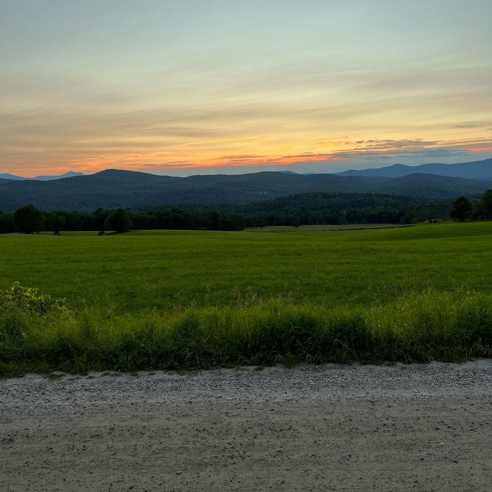 Meet your Posher, Thea